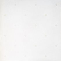 Керамогранит Glance light PG 02 45х45